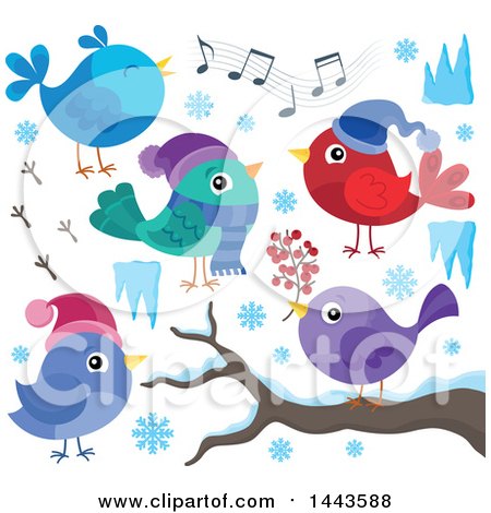 Clipart of Colorful Winter Birds - Royalty Free Vector Illustration by visekart