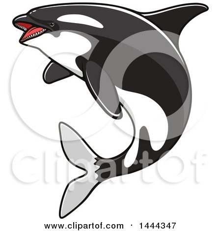 Clipart of a Jumping Orca Killer Whale - Royalty Free Vector Illustration by Vector Tradition SM