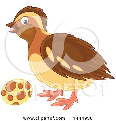 Clipart of a Bird and Egg - Royalty Free Vector Illustration by Alex Bannykh