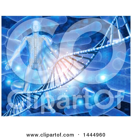 Clipart of a 3d Medical Anatomical Male with a Visible Skeleton over a DNA Strand and Virus Background - Royalty Free Illustration by KJ Pargeter