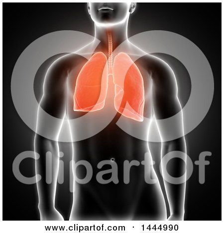 Clipart of a 3d Xray Man with Highlighted Red Lungs on Black - Royalty Free Illustration by KJ Pargeter