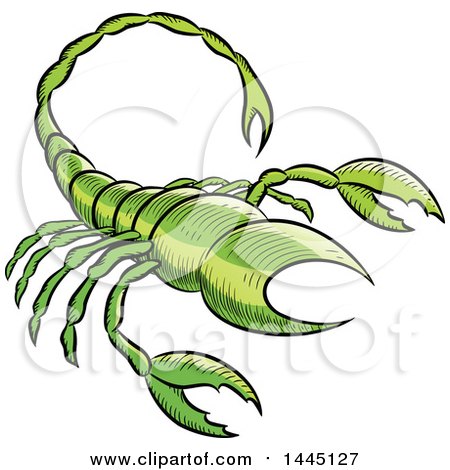 Clipart of a Sketched Green Astrology Zodiac Scorpio Scorpion - Royalty Free Vector Illustration by cidepix