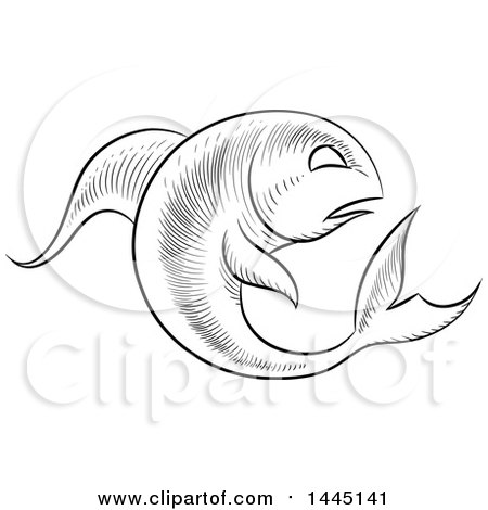 Clipart of a Sketched Black and White Astrology Zodiac Pisces Fish with a White Fill - Royalty Free Vector Illustration by cidepix