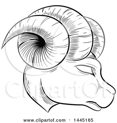 Clipart of a Sketched Black and White Astrology Zodiac Aries Ram with White Fill - Royalty Free Vector Illustration by cidepix