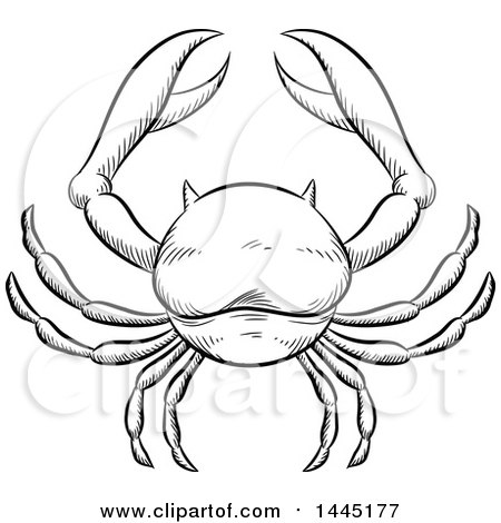 Clipart of a Sketched Black and White Astrology Zodiac Cancer Crab with White Fill - Royalty Free Vector Illustration by cidepix