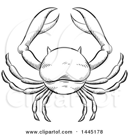 Clipart of a Sketched Black and White Astrology Zodiac Cancer Crab - Royalty Free Vector Illustration by cidepix