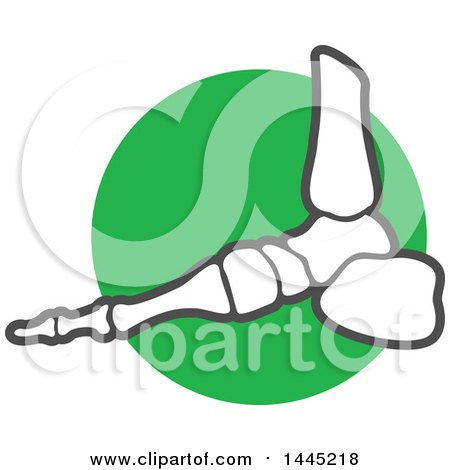 Clipart of a Human Ankle Joint over a Green Circle - Royalty Free Vector Illustration by Vector Tradition SM