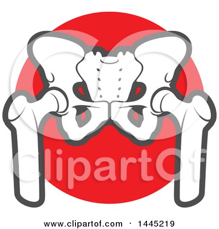 Clipart of a Human Pelvis over a Red Circle - Royalty Free Vector Illustration by Vector Tradition SM