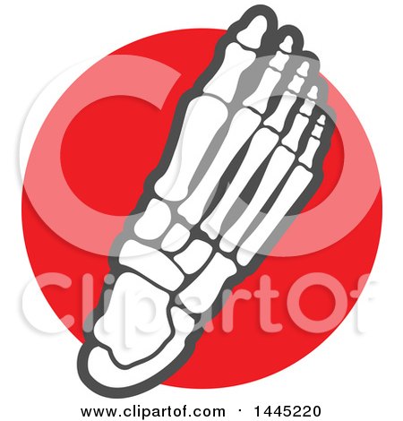 Clipart of a Human Foot with Visible Bones over a Red Circle - Royalty Free Vector Illustration by Vector Tradition SM