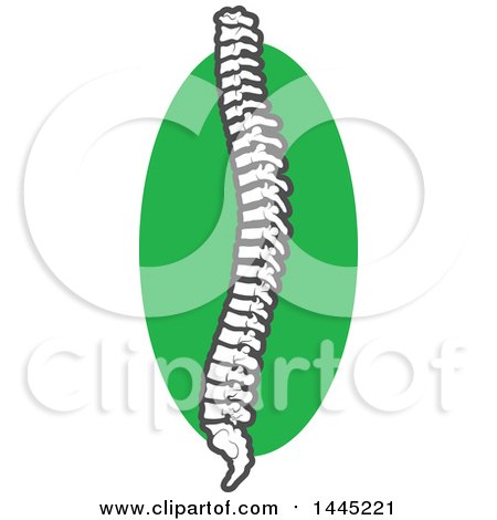 Clipart of a Human Spine over a Green Circle - Royalty Free Vector Illustration by Vector Tradition SM
