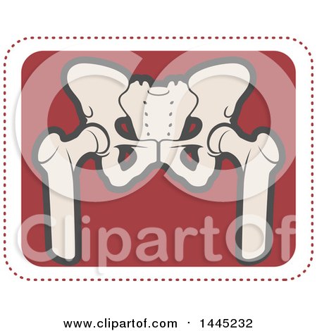 Clipart of a Retro Flat Styled Tan and Red Human Pelvis Medical Design - Royalty Free Vector Illustration by Vector Tradition SM