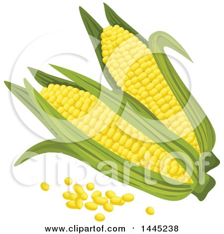 Clipart of a Corn and Kernel Design - Royalty Free Vector Illustration by Vector Tradition SM