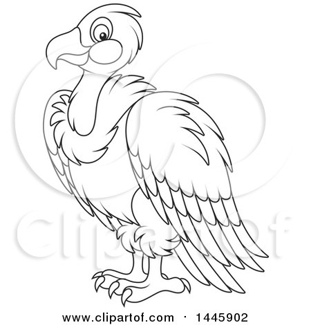 Clipart of a Cartoon Black and White Lineart Vulture Bird - Royalty Free Vector Illustration by Alex Bannykh