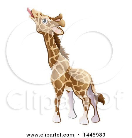 Clipart of a Cartoon Giraffe Stretching His Tongue out to Eat - Royalty Free Vector Illustration by AtStockIllustration