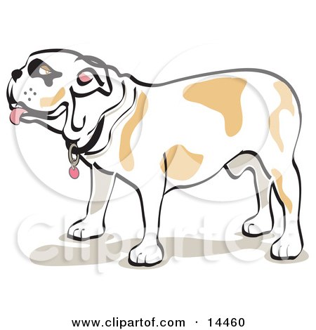 Bulldog Standing in Profile Clipart Illustration by Andy Nortnik