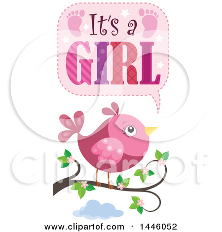 Clipart of a Pink Bird on a Branch with Gender Reveal Its a Girl Text - Royalty Free Vector Illustration by visekart
