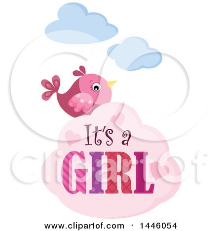 Clipart of a Pink Bird with Gender Reveal Its a Girl Text on a Cloud - Royalty Free Vector Illustration by visekart