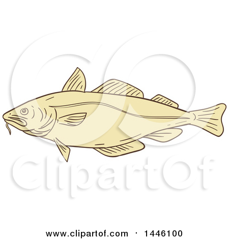 Clipart of a Sketched Styled Atlantic Cod Fish - Royalty Free Vector Illustration by patrimonio