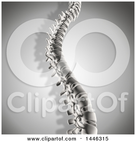 Clipart of a 3d Grayscale Human Spine - Royalty Free Illustration by KJ Pargeter