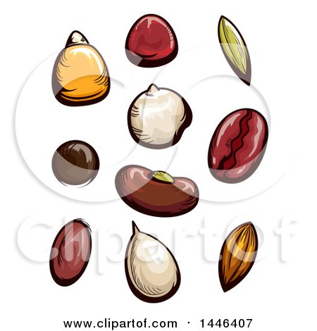 Clipart of Fruit and Vegetable Seeds - Royalty Free Vector Illustration by BNP Design Studio