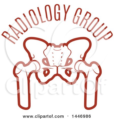 Clipart of a Human Pelvis Under Radiology Group Text - Royalty Free Vector Illustration by Vector Tradition SM