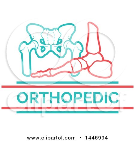 Clipart of a Human Foot and Pelvis with Orthopedic Text - Royalty Free Vector Illustration by Vector Tradition SM