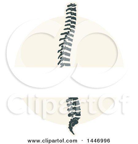 Clipart of a Human Spine with Text Space - Royalty Free Vector Illustration by Vector Tradition SM