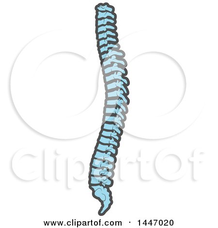 Clipart of a Human Spine - Royalty Free Vector Illustration by Vector Tradition SM