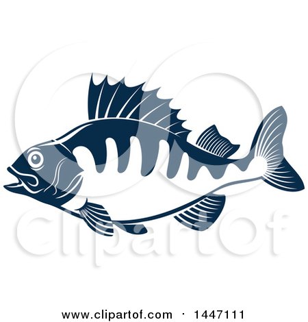 Clipart of a Navy Blue and White Perch Fish - Royalty Free Vector Illustration by Vector Tradition SM