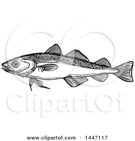 Clipart of a Black and White Sketched Navaga Fish - Royalty Free Vector Illustration by Vector Tradition SM