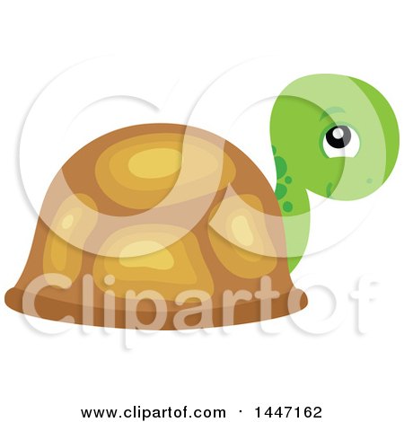 Clipart of a Cute Tortoise Turtle Peeking from His Shell - Royalty Free Vector Illustration by visekart