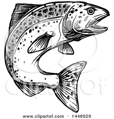 Clipart of a Black and White Sketched Jumping Salmon Fish - Royalty Free Vector Illustration by Vector Tradition SM