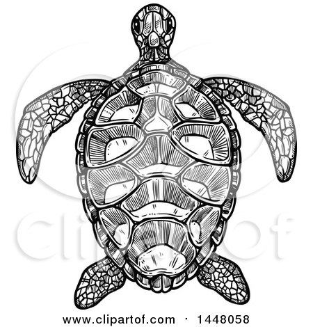 Clipart of a Black and White Sketched Sea Turtle - Royalty Free Vector Illustration by Vector Tradition SM