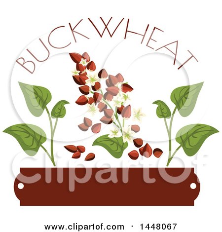 Clipart of a Buckwheat Text, Seed and Leaf over a Blank Tag Design - Royalty Free Vector Illustration by Vector Tradition SM