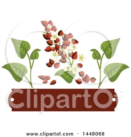 Clipart of a Buckwheat Seed and Leaf over a Blank Tag Design - Royalty Free Vector Illustration by Vector Tradition SM