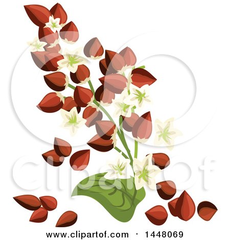 Clipart of a Buckwheat Seed and Leaf Design - Royalty Free Vector Illustration by Vector Tradition SM