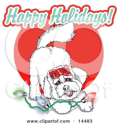 Playful Bichon Frise Dog With Christmas Lights Clipart Illustration by Andy Nortnik