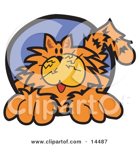 Chubby Happy Orange Cat Clipart Illustration by Andy Nortnik