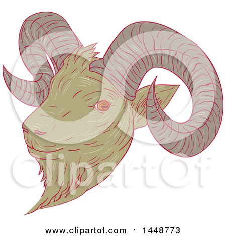 Clipart of a Sketched Drawing Styled Mountain Goat Ram Head - Royalty Free Vector Illustration by patrimonio