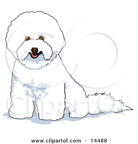 White Bichon Frise Dog Clipart Illustration by Andy Nortnik