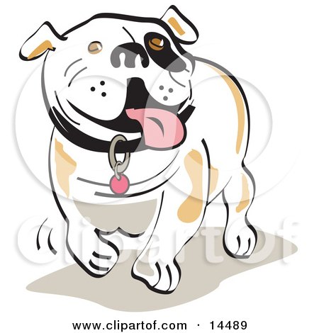 Happy Bulldog Walking and Hanging His Tongue Out Clipart Illustration by Andy Nortnik