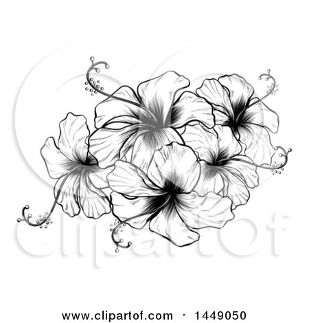Clipart Graphic of a Vintage Black and White Engraved or Woodcut Hibiscus Flower Design - Royalty Free Vector Illustration by AtStockIllustration