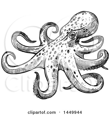 Clipart Graphic of a Black and White Sketched Octopus - Royalty Free Vector Illustration by Vector Tradition SM