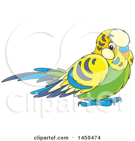 Clipart Graphic of a Cartoon Cute Pet Budgie Parakeet Bird - Royalty Free Vector Illustration by Alex Bannykh