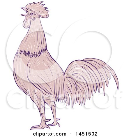 Clipart Graphic of a Drawing Sketch Styled Crowing Rooster in Profile, with Pink and Purple Tones - Royalty Free Vector Illustration by patrimonio