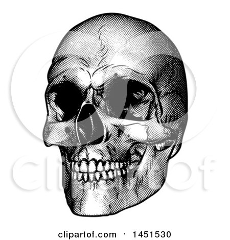 Clipart Graphic of a Black and White Engraved Human Skull - Royalty Free Vector Illustration by AtStockIllustration