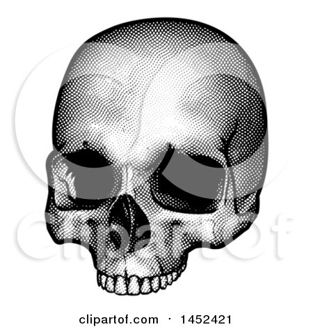 Clipart of a Black and White Engraved Human Skull - Royalty Free Vector Illustration by AtStockIllustration