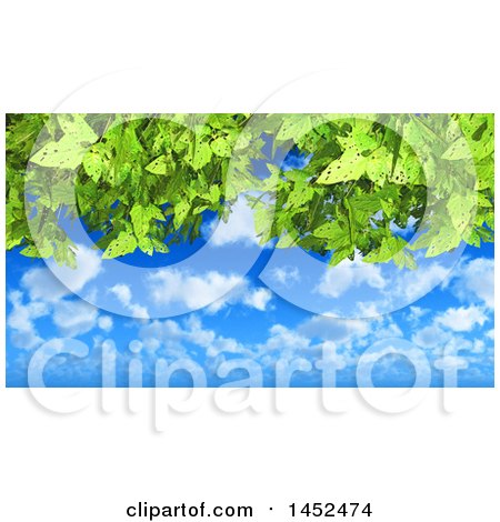 Clipart of a Background of 3d Green Leaves Against a Blue Sky with Puffy White Clouds - Royalty Free Illustration by KJ Pargeter