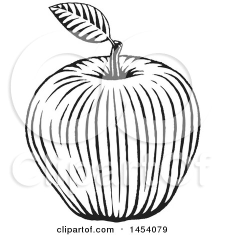 Clipart of a Black and White Sketched Apple - Royalty Free Vector Illustration by cidepix