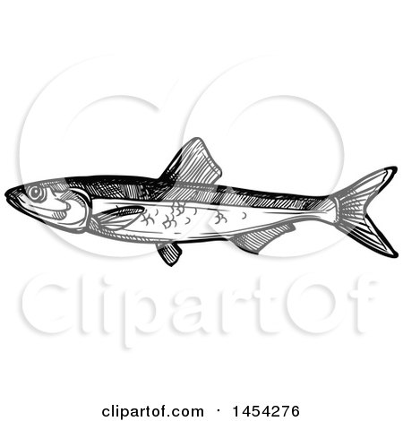 Clipart Graphic of a Black and White Sketched Sprat Fish - Royalty Free Vector Illustration by Vector Tradition SM